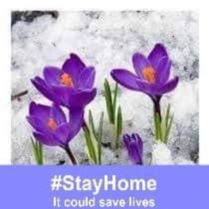 Meet your Posher, Liz